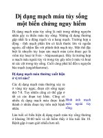 Dị dạng mạch máu tủy sống một biến chứng nguy hiểm pot