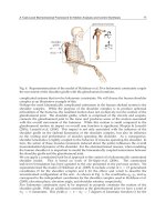 Human Musculoskeletal Biomechanics Part 2 doc