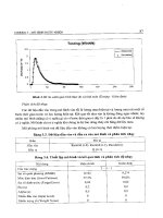 Mô hình toán thủy thủy văn part 6 potx