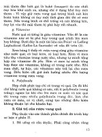 Làm rượu vang trái cây ở gia đình part 2 pptx