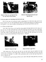 Khoa học công nghệ và phát triển nông thôn 20 năm đổi mới – Cơ điện nông nghiệp và công nghệ sau thu hoạch part 4 doc