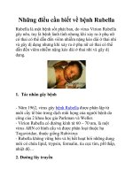 Những điều cần biết về bệnh Rubella potx