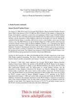 FINANCIAL STATEMENTS AND SUPPLEMENTAL INFORMATION New York City Industrial Development Agency _part3 doc