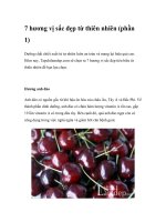 7 hương vị sắc đẹp từ thiên nhiên (phần 1) pdf