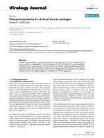 Báo cáo sinh học: 