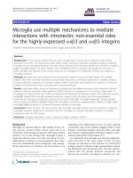 báo cáo hóa học: 