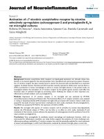 báo cáo hóa học: 