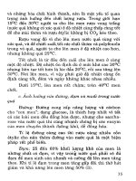 Làm rượu vang trái cây ở gia đình part 4 pdf