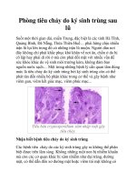 Phòng tiêu chảy do ký sinh trùng sau lũ pot