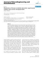 báo cáo hóa học: 