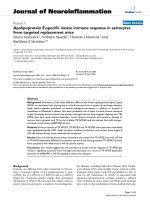 báo cáo hóa học: 