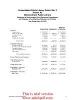 Accountants’ Report and Financial Statements June 30, 2007_part2 doc