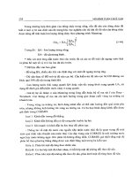 Mô hình toán thủy thủy văn part 9 pptx