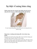 Sự thật về mảng bám răng pot