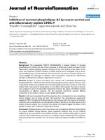 báo cáo hóa học: 