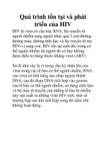 Quá trình tồn tại và phát triển của HIV doc