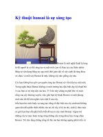 Kỹ thuật bonsai là sự sáng tạo docx