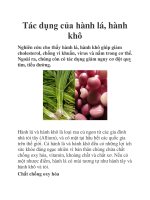 Tác dụng của hành lá, hành khô pot