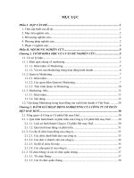 luận văn tăng cường chính sách marketing-mix cho sản phẩm may mặc của công ty cổ phần dệt may huế