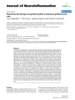 báo cáo hóa học: 