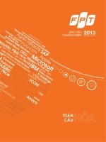 báo cáo thường niên 2013 toàn cầu hóa fpt