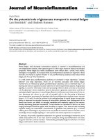 báo cáo hóa học: 