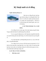 Kỹ thuật nuôi cá rô đồng ppt