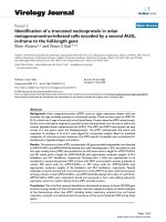 Báo cáo sinh học: 