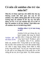 Có nên cắt amidan cho trẻ vào mùa hè? doc