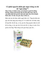 Có phải nguyên nhân gây mụn trứng cá chỉ do “gan nóng”? pdf