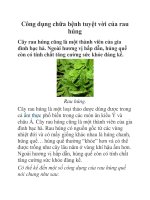 Công dụng chữa bệnh tuyệt vời của rau húng pot