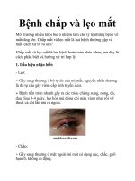 Bệnh chắp và lẹo mắt docx