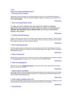 VISA-VIETNAM DOT VN FAQ vietnam-immigration.org.vn pptx