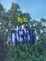 Môh học cây rừng pdf