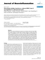 báo cáo hóa học: 