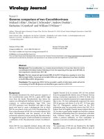 Báo cáo sinh học: 