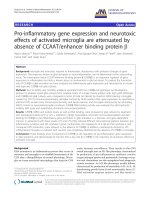 báo cáo hóa học: 