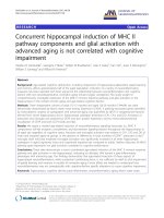 báo cáo hóa học: 