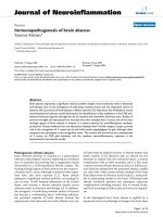 báo cáo hóa học: 