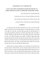 Báo cáo nghiên cứu khoa học 