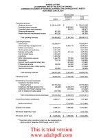 Summary of Balance Sheets _part4 docx