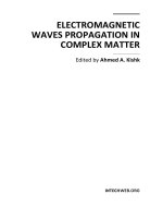 Electromagnetic Waves Propagation in Complex Matter Part 1 ppt