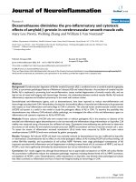 báo cáo hóa học: 