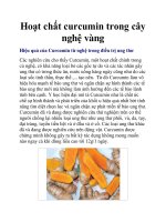 Hoạt chất curcumin trong cây nghệ vàng pptx