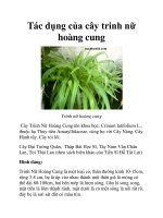 Tác dụng của cây trinh nữ hoàng cung pptx