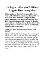 Cảnh giác viêm gan B tái hoạt ở người lành mang virut pdf