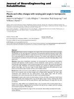 báo cáo hóa học: 