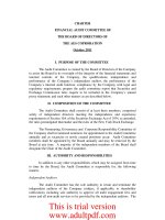 CHARTER FINANCIAL AUDIT COMMITTEE OF THE BOARD OF DIRECTORS OF THE AES COPRORATION October 2011 pptx