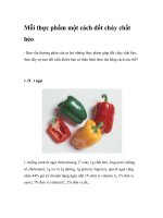 Mỗi thực phẩm một cách đốt cháy chất béo ppt