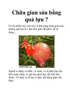 Chữa giun sán bằng quả lựu ? pot